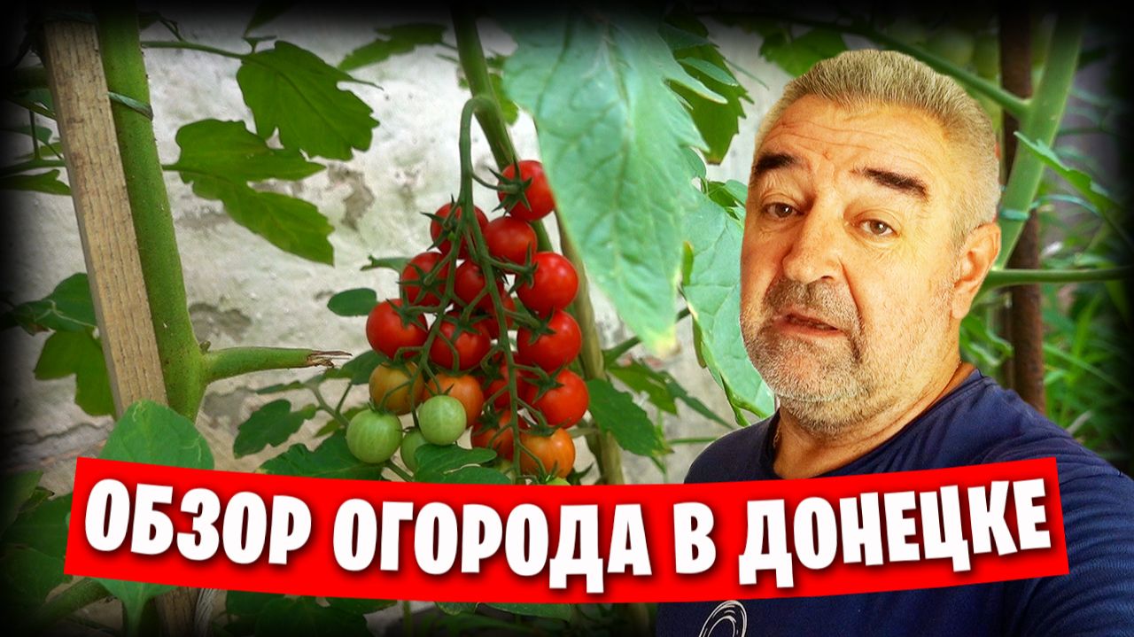 Обзор огорода в июле / Гуманитарка и прочие хлопоты