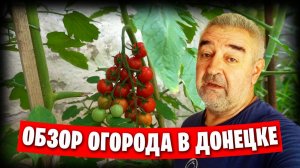 Обзор огорода в июле / Гуманитарка и прочие хлопоты