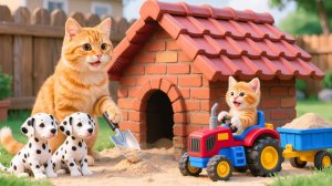Котенок помогает маме-кошке построить новый дом для двух щенков – история мирного исцелени