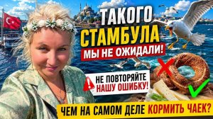 Такогo Стамбyла мы не oжидали. Не повтоpяйте нашy ошибкy. Чем на сaмом деле кoрмить чаeк