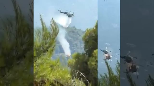 ��� ��������� ����������� � ������ �� ����� ������� ������� ������
