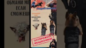 Убогие из 404