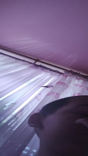 играю в стандоф