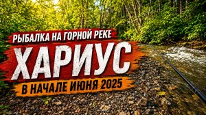 Рыбалка на горной реке в начале июня 2025