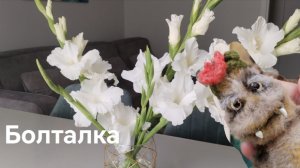 И снова болталка, цветы, новые игрушки