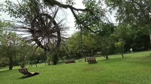 В городском парке. Южно-Сахалинск.mp4