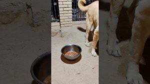 Маша болеет, а я переживаю