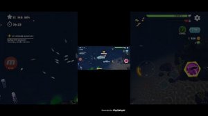 играю в хангри шарк