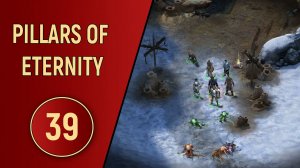 PILLARS OF ETERNITY - ЧАСТЬ 39 - ОБЗОРНЫЕ ВОДОПАДЫ