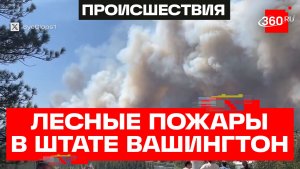 В штате Вашингтон объявили эвакуацию из-за лесных пожаров