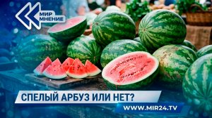 Сезон бахчевых. Как распознать спелый арбуз?