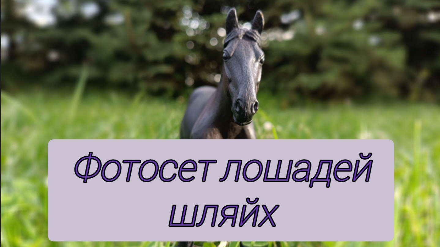 Фотосет лошадей Шляйх | Schleich