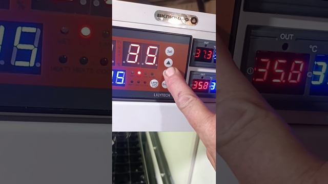 Инкубатор на 1000 яиц