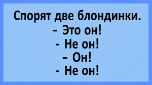 Спорят две блондинки. — Это он! — Не он! — Он! — Не он!... | Анекдоты смешные | Юмор