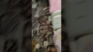 VID_20260803_103239.mp4