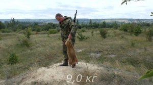 Охота на сурка. Добыли отличные трофеи. Выстрелы от 100 до 260 м.