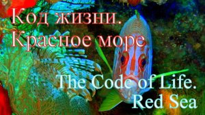 Код жизни: Красное море/The Code of Life:Red Sea