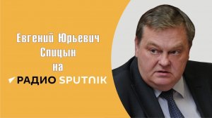 «Уши от дохлого осла они получат, а не компенсацию» Е.Ю.Спицын на радио Спутник «Актуальное интервью