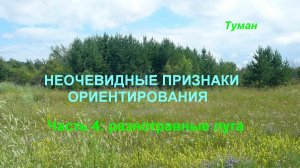 Неочевидные признаки ориентирования. 04 Разнотравные луга