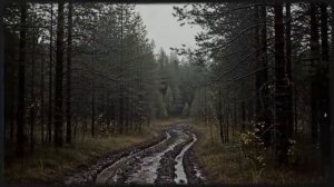 Егерь зашел за вином, а нашел ГОРЯЧУЮ НЕЗНАКОМКУ. Шок-финал, которого НИКТО не ожидал.