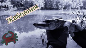 Микроджиг рыбалка в АВГУСТЕ на спиннинг/щука окунь на рака.