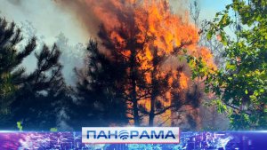 9 из 10 лесных пожаров разжигает человек. Какие меры предосторожности принимаются?