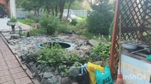 В гостях//Яблоки сварились на кусту