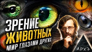 Дробышевский. Зрение животных