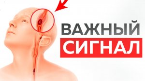 Что НА САМОМ ДЕЛЕ вызывает головные боли? 1 точка, которая снимает головные боли и мигрень