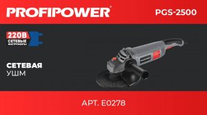 Сетевая УШМ PROFIPOWER PGS-2500