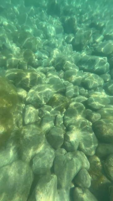Под водой. Крым. ЮБК. Гаспра. 03.07.2026г.