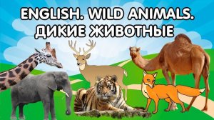 Английский язык для детей 🐯 Дикие животные 🦁 Развивающие мультики