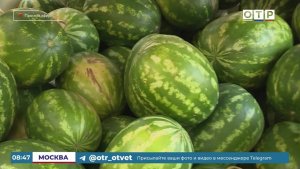 Сочный праздник: отмечаем День арбуза!