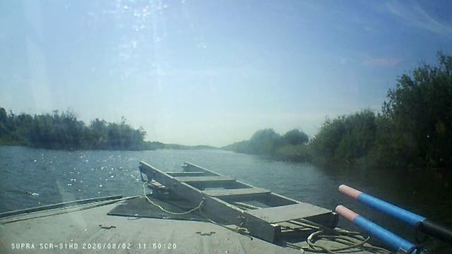 2026-08-02 Купание Красного Коня)))