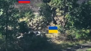 🔴Хрюшка слегла с очереди.🔴