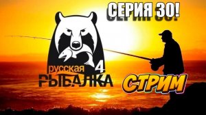 Купим Фидер в Русской рыбалке! Серия 30
