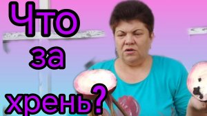 Вода из автомата😊🫰Вопрос к огородникам❓❓❓