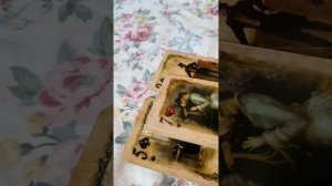 Что произойдет в ближайшее время