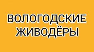 Лажа СМИРНОВЫ❌ или стекло, которое стало углём ‼️