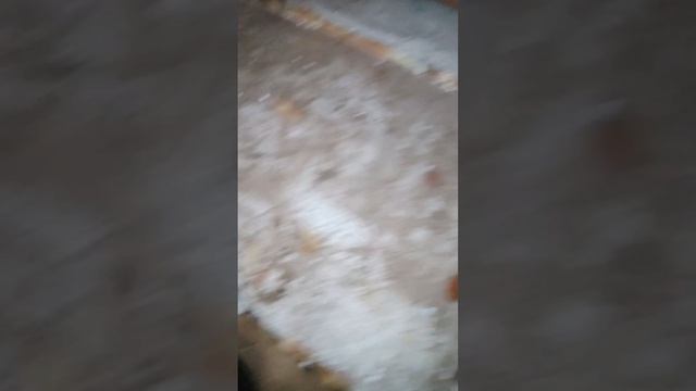 Утепление потолка обычным пенопластом