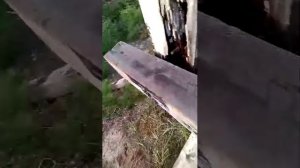 мы с Димой смотрим поезда