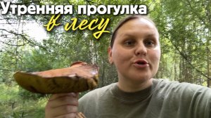 Неожиданная находка на утренней прогулке в лесу
