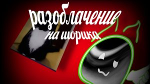 Разоблачение на шорика (позор)