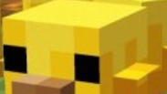 +7  (@@@) (@@@) -@@-@@ )