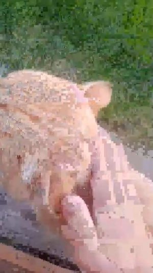 03-08-2026