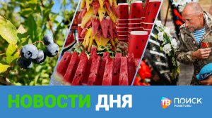 Клин. Новости дня 03.08.26