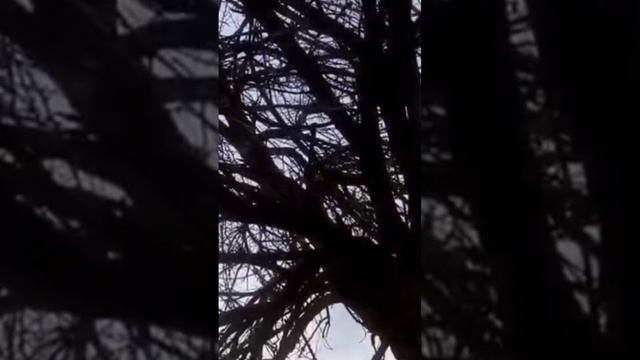 Ангелы спасатели/ 1000 спасение жизней/ Будни медроты.