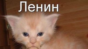 Друзяшки (нет! Пара🥰)