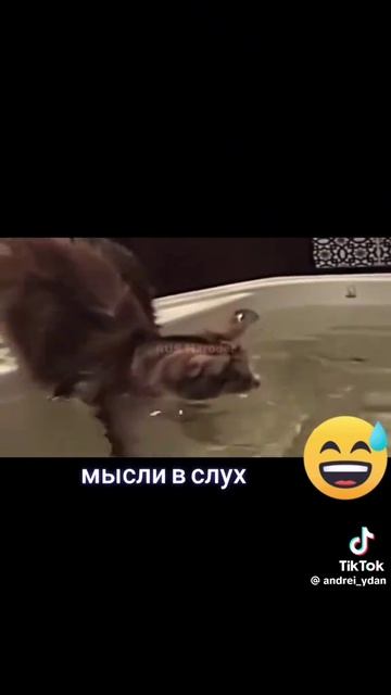 Называется поплавал