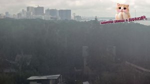 ФАРОН**ТЫ ЖДАЛА**СЛОВА.А НАДО ПОСТУПКИ. ДОЖДЬ💦💦. ПРОСТО ЗА ОКНОМ.